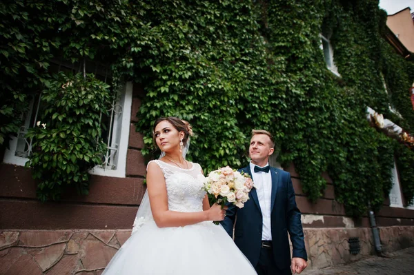 Outstanding wedding couple posing against ivy wall. — Stock Photo, Image