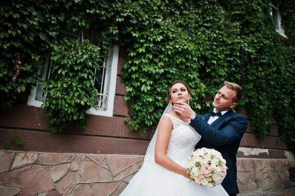 Ivy duvara poz seçkin Düğün çifti.