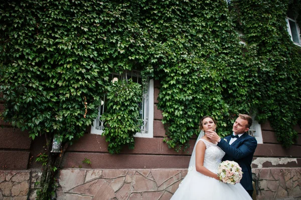 Ivy duvara poz seçkin Düğün çifti.