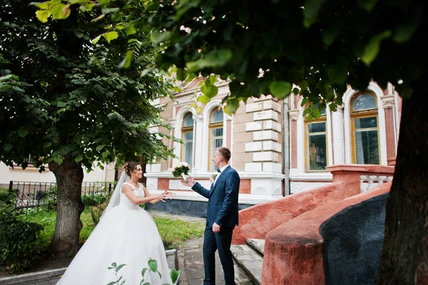 Dobře vypadající novomanžele chůzi a užívat si každý othe — Stock fotografie