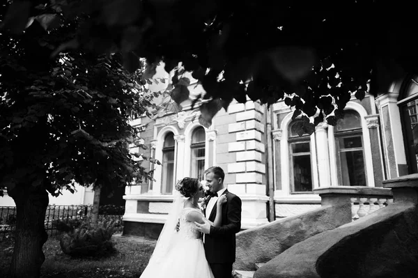 Bonito casal recém-casado andando e curtindo cada othe — Fotografia de Stock