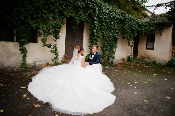 Ivy duvara poz seçkin Düğün çifti.