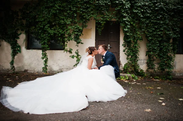 Fabulous wedding couple sitting next to the old wall with ivy an — Stock Photo, Image