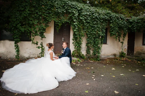 Казкова весільна пара сидить поруч зі старою стіною з плющем — стокове фото
