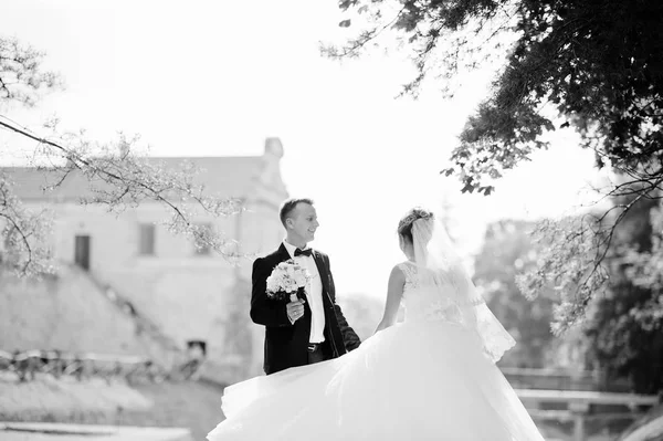 Harika Düğün çifti tepede muhteşem VI ile poz — Stok fotoğraf