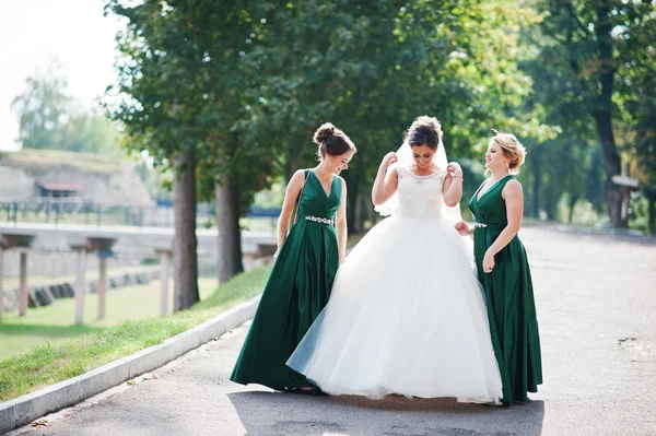 Fabulosa novia caminando, posando y divirtiéndose con su bridesmai —  Fotos de Stock