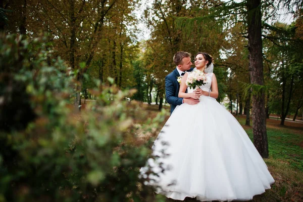 Yakışıklı yeni evli iki yürüyor ve her diğer zevk