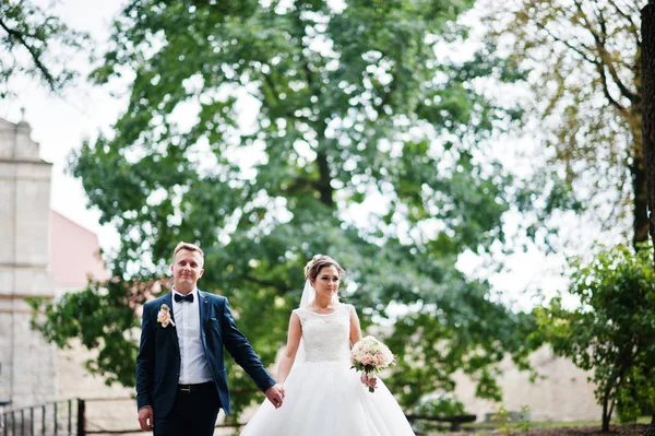 Yakışıklı yeni evli iki yürüyor ve her diğer zevk