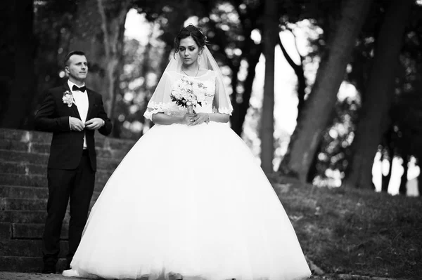 Yakışıklı yeni evli iki yürüyor ve her diğer zevk