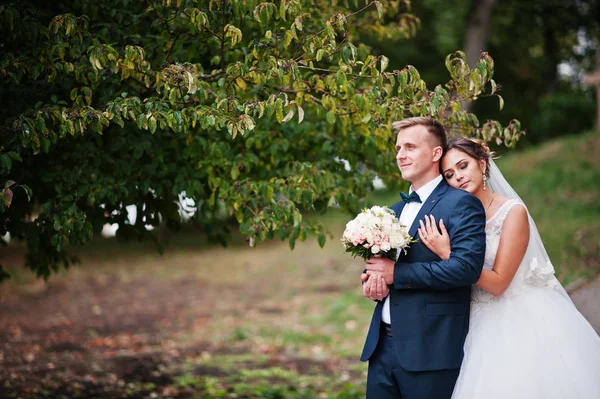 Yakışıklı yeni evli iki yürüyor ve her diğer zevk