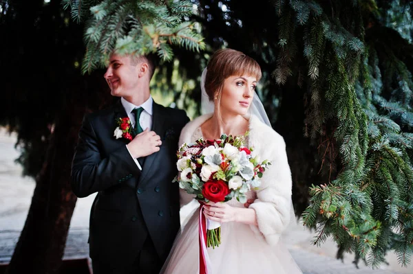 Szép esküvő házaspár állt, és átölelte a fenyő fa alatt. — Stock Fotó