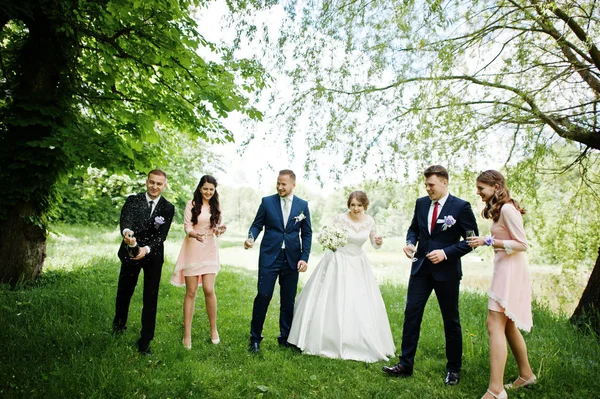 Brautpaar, Brautjungfern und Bräutigam warten auf Trauzeugen — Stockfoto