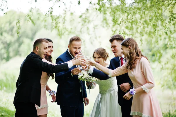 Pareja de bodas, damas de honor y padrinos bebiendo champán en —  Fotos de Stock