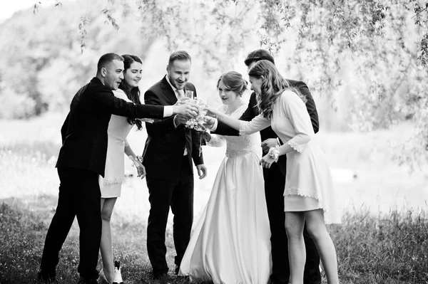 Esküvő házaspár, a koszorúslányok és a groomsmen pezsgőt isznak a — Stock Fotó