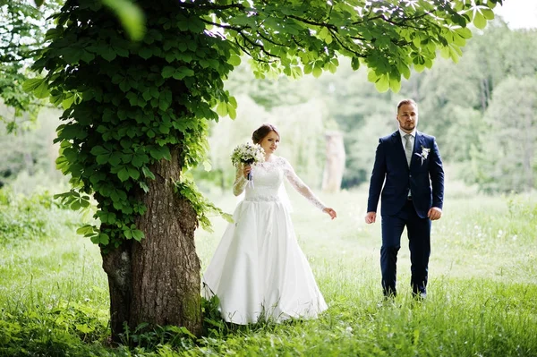 Amazing wedding couple walking and posing somewhere in the green — Stock Photo, Image