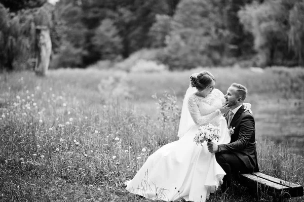 Fantastic bride sitting on a groom's lap in the meadow next to t — Stock Photo, Image