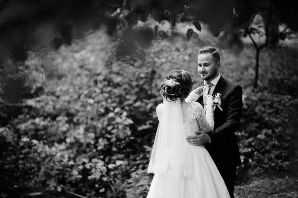 Attractive wedding couple standing and posing on a small wooden — Stock Photo, Image