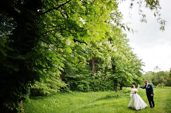 Casal de casamento incrível andando e posando em algum lugar no verde — Fotografia de Stock