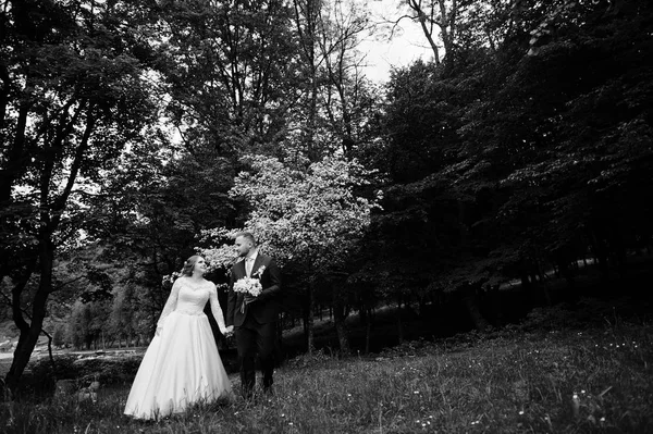 Hochzeitspaar genießt Gesellschaft im Park — Stockfoto