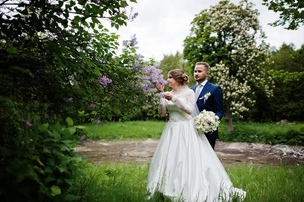 Casal de casamento impressionante curtindo a companhia um do outro no parque wi — Fotografia de Stock