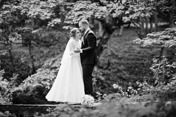 Attraktives Hochzeitspaar steht und posiert auf einem kleinen hölzernen — Stockfoto