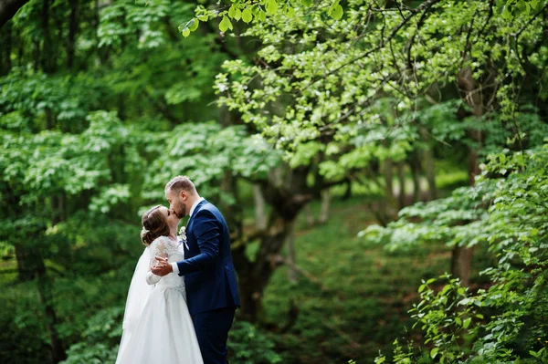 Casamento casal apaixonadamente beijando na floresta . — Fotografia de Stock
