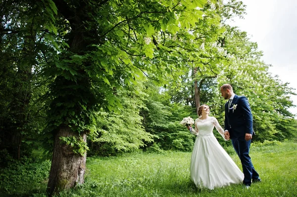 Casal de casamento incrível andando e posando em algum lugar no verde — Fotografia de Stock