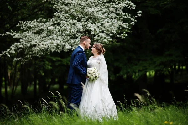 Birbirlerinin şirket zevk çarpıcı Düğün çifti wi park