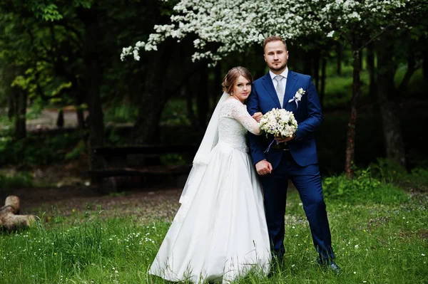 Casal de casamento impressionante curtindo a companhia um do outro no parque wi — Fotografia de Stock