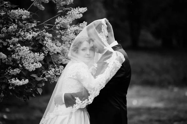 Крупним планом фото весільної пари, що обіймається під завісою в — стокове фото