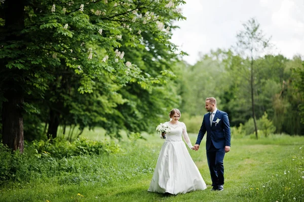 Erstaunliche Hochzeitspaar zu Fuß und posiert irgendwo im Grünen — Stockfoto