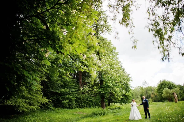 Couple de mariage incroyable marche et posant quelque part dans le vert — Photo