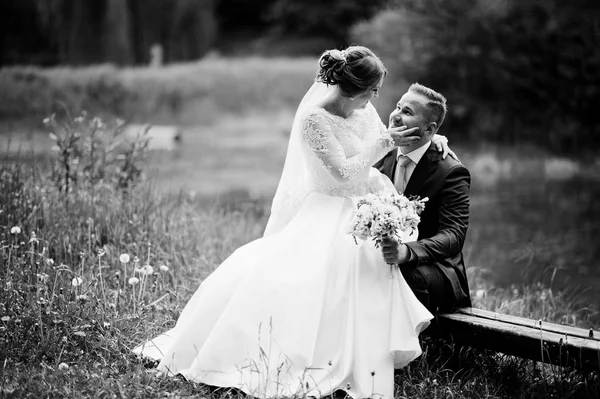 Fantastic bride sitting on a groom's lap in the meadow next to t — Stock Photo, Image