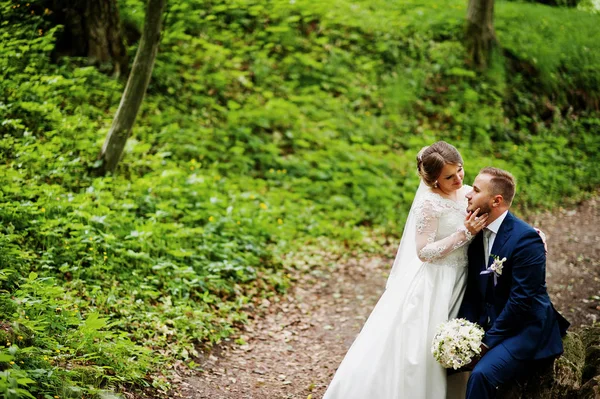 Magnifique mariée assise sur les genoux de son mari dans la forêt — Photo