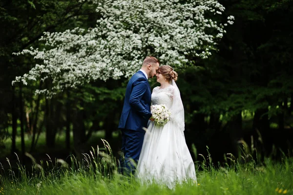 Birbirlerinin şirket zevk çarpıcı Düğün çifti wi park