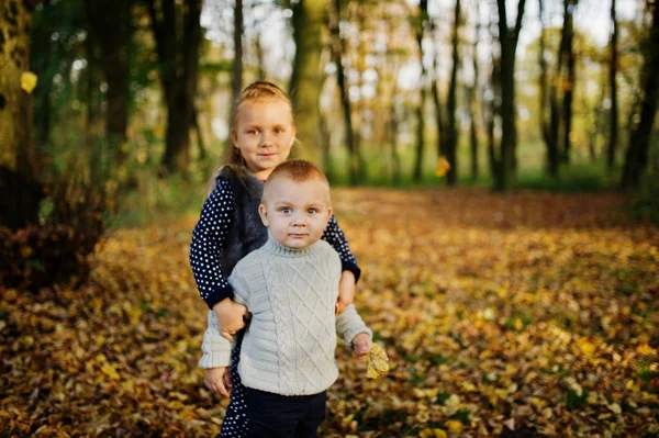 Little girl with boy at majestic autumn fall forest. Sister with — Stock Photo, Image