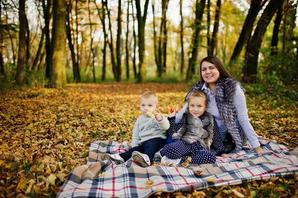 Happy mom with son and daughter sitting on plaid at majestic aut