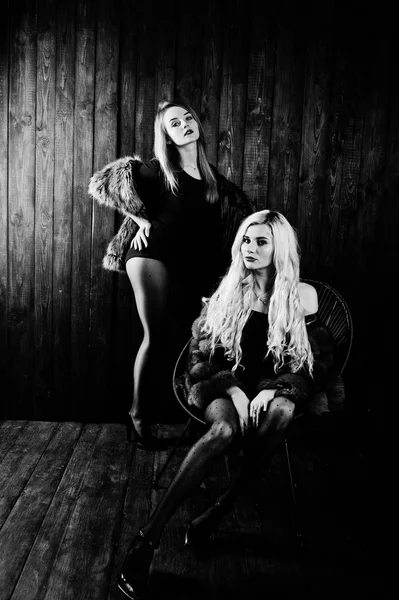 Due eleganti ragazze bionde sexy indossano una pelliccia seduta sulla sedia — Foto Stock