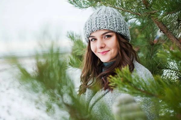El retrato de la muchacha tierna en el abrigo gris y el sombrero contra nuevo año tr — Foto de Stock