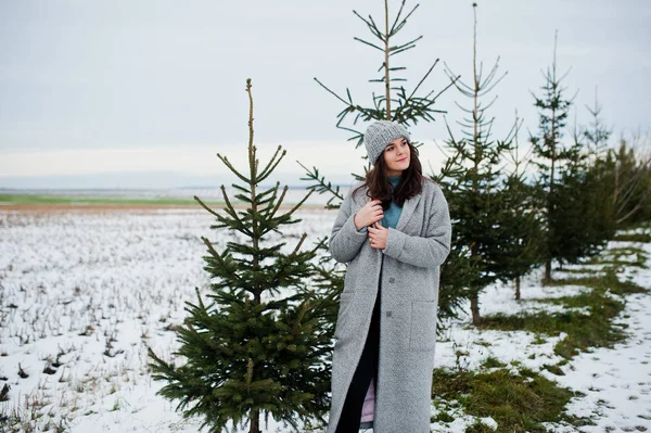 회색 코트에 모자 새 해에 대 한 부드러운 여자의 tr — 스톡 사진