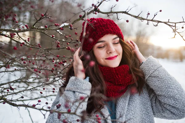 Ritratto di ragazza gentile in cappotto grigio, cappello rosso e sciarpa vicino a th — Foto Stock