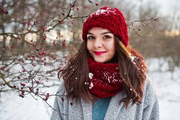 Ritratto di ragazza gentile in cappotto grigio, cappello rosso e sciarpa vicino a th — Foto Stock