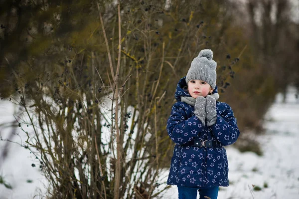 Sevimli küçük kız kış günü açık havada eğleniyor. — Stok fotoğraf