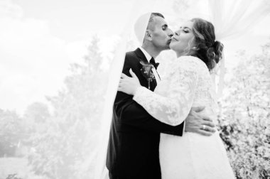 Romantik güzel yeni evli çift parkta m tarafından poz