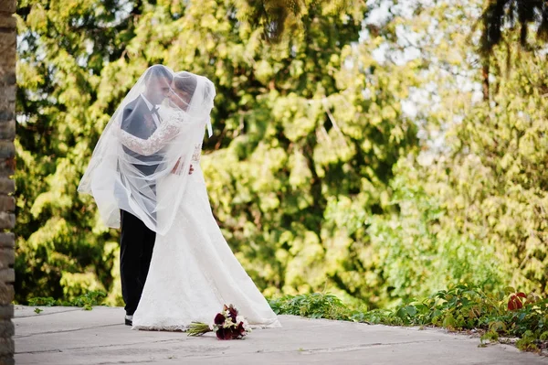 로맨틱 사랑 스러운 새로 결혼된 한 부부는 m에 의해 공원에서 포즈 — 스톡 사진
