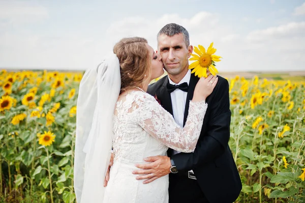 Portret z niesamowitą para ślub pozowanie w fi słonecznika — Zdjęcie stockowe