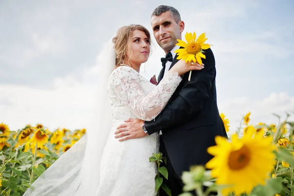 Portrait d'un couple de mariage étonnant posant dans la fi tournesol — Photo