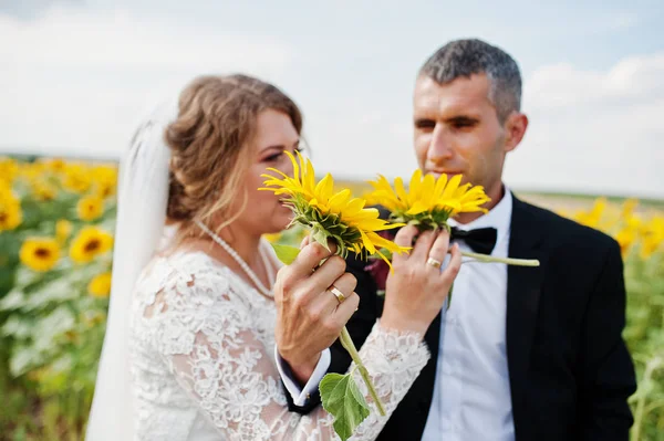 Portret z niesamowitą para ślub pozowanie w fi słonecznika — Zdjęcie stockowe