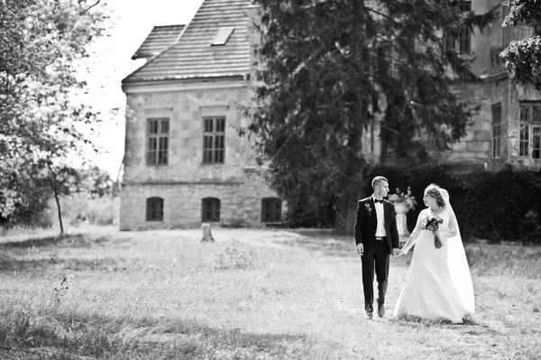 Romantische mooie nieuw echtpaar poseren in het park door de m — Stockfoto