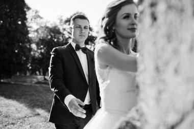 Sevimli yeni evli çift thei üzerinde eski bir çeşme yanında poz